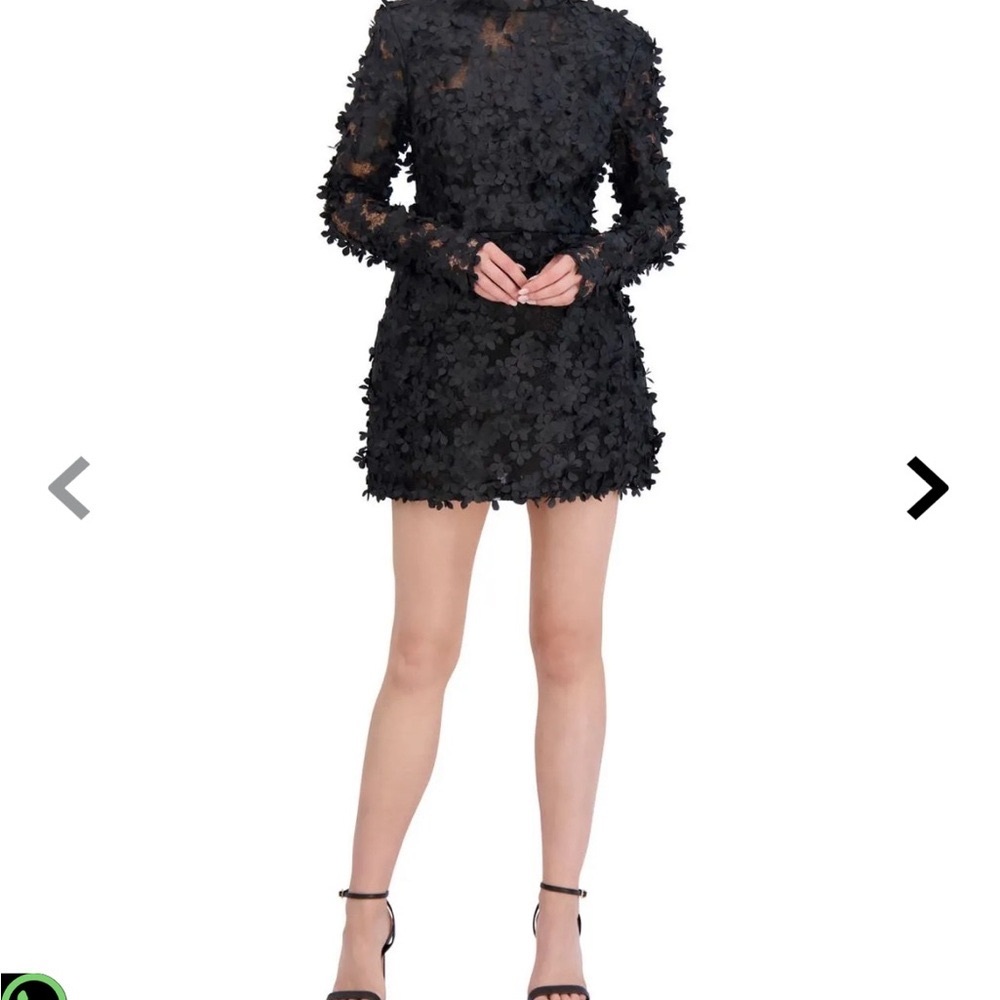 BCBGMaxAzria 3D Floral Appliqué Mini Dress